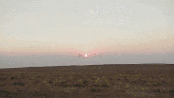 New Mexico Missionary GIF by NAMB Social