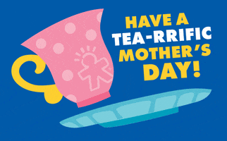 Mothers Day Mom GIF by Educational Insights