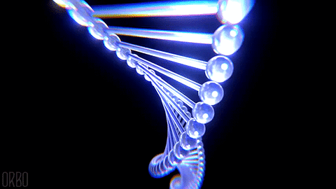 Что такое  ДНК