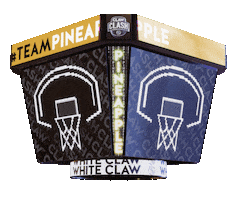 Basketball Pineapple Sticker by White Claw