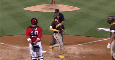Baseball GIF