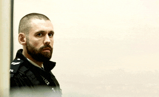 Police GIF
