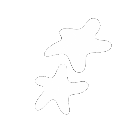 Flower Star Sticker