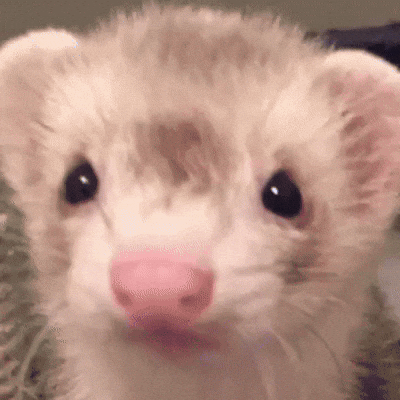 Tws GIF