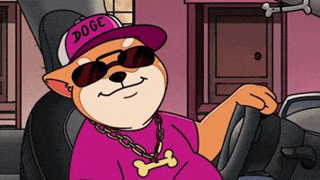 GIF by Doge Pound