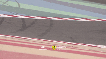 Happy Racing GIF by Formula Santander