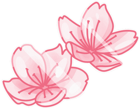 Cherry Blossom Pink Sticker