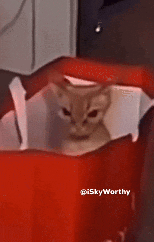 Iskyworthy GIF