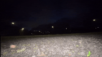 Demi Donnelly GIF