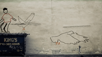 bfolk studio GIF