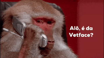Alo GIF by VETFACE