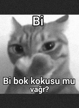 Koku GIF