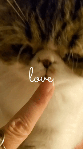 Love GIF