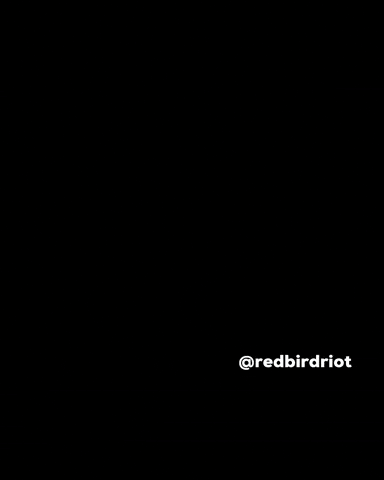 Weatherman GIF