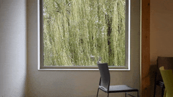 Haarlemmermeer GIF