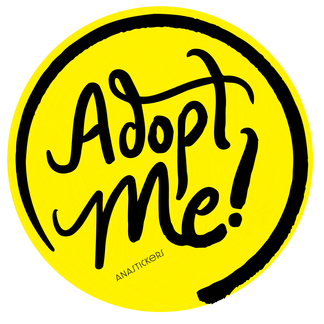 Adoption Adopt Sticker by Ana Armendariz