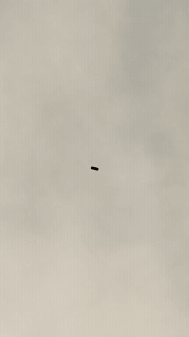 Pjedtz GIF