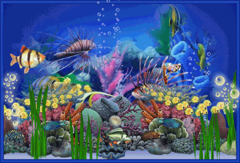 Aquarium Tank Stock Photos, Images and Backgrounds for Free Download