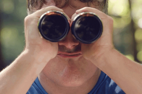Ale Drinking GIF by Colsons Beer - Find & Share on GIPHY