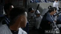 angry new york yankees GIF by MLB