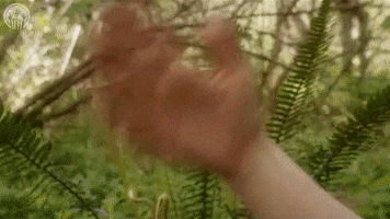 Hand Zombieorpheus GIF by zoefannet