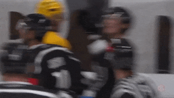 Ch Referees GIF by Champions Hockey League