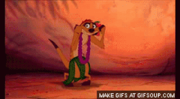 Timon GIFs - Find & Share on GIPHY