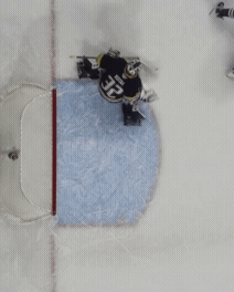 Hockey GIF
