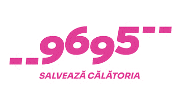 9695Asistenta Sticker by Asistenta Rutiera 9695