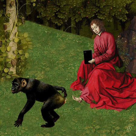 monkey observations GIF by Scorpion Dagger