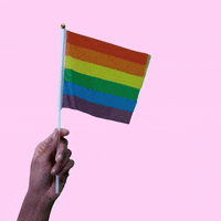 Gay Pride GIF by Hello All