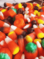 candy corn celebrate halloween GIF