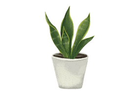 Indoor Plant Sticker by Ateneo The Studio