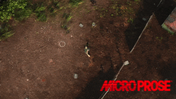 Airborne Ranger GIF by MicroProse