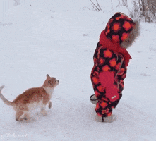 Video gif. Cat walks intently behind a child in a snowsuit, then jumps abruptly on the toddler's back, toppling them over in the snow.
