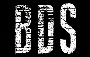 BDS GIF