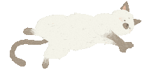 Cat Sticker
