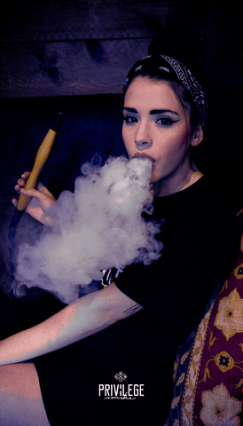 Smoke Hookah GIF by PrivilegeSmoke