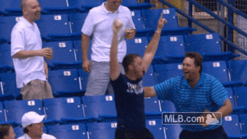 Excited Tampa Bay Rays GIF by MLB