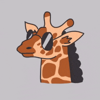 200.gif?cid=fc005b080d05e3ad607cb730e84af7f1f72769c07c4d85c4&rid=200.gif&ct=g