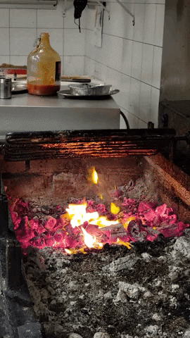 Ribs GIF
