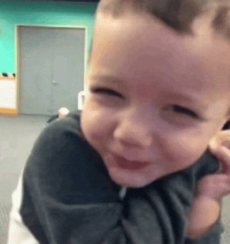 Amused GIF