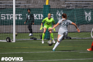 Goviks Portlandstate GIF