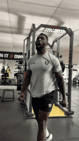 GIF by Sharks Rugby