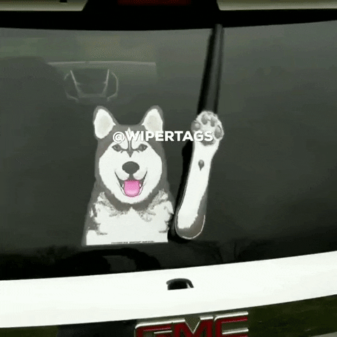 dog malamute GIF by WiperTags Wiper Covers