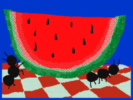 Watermelon Picnic GIF