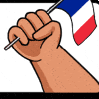 France Flag GIF by Jawaker