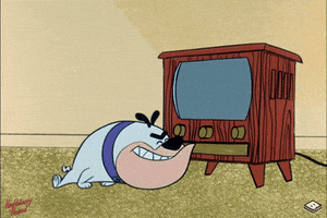 Streaming Hanna Barbera GIF by Boomerang Official