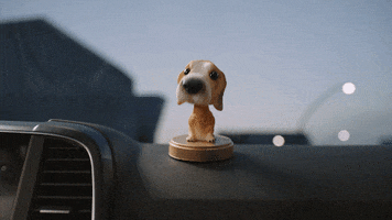 강아지 Yes GIF by renaultsamsungM