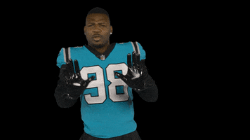 Stop It Hold On GIF by Carolina Panthers